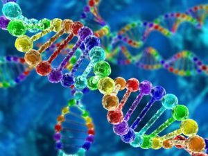 12 Strand DNA Activation